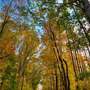 Thank you for being here :)